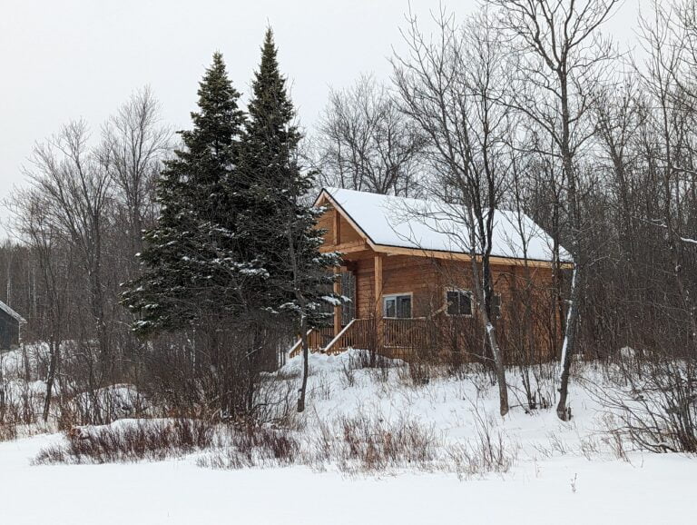A cozy cabin surrounded by snow-covered trees, offering a serene winter retreat.