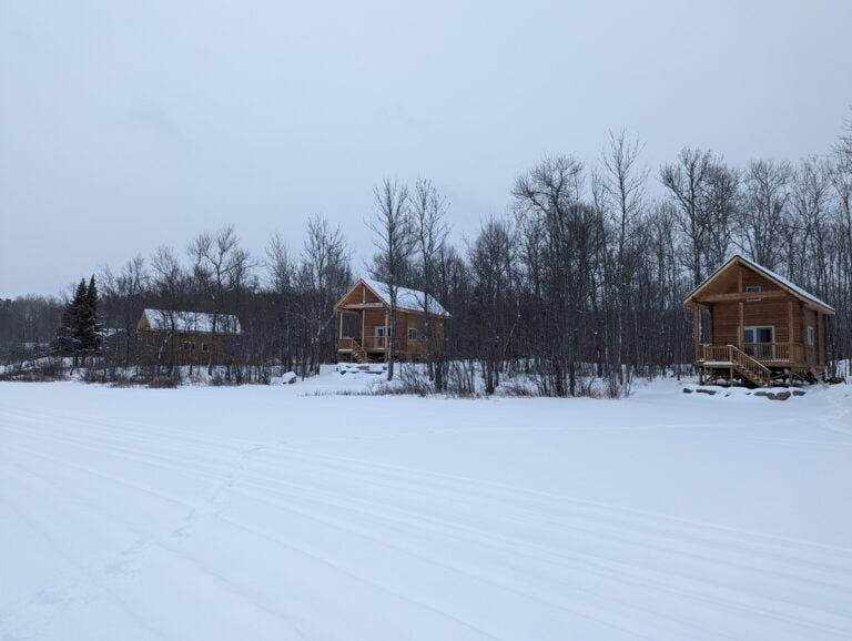 A view of our cottages nestled among trees, covered in a thick blanket of snow.