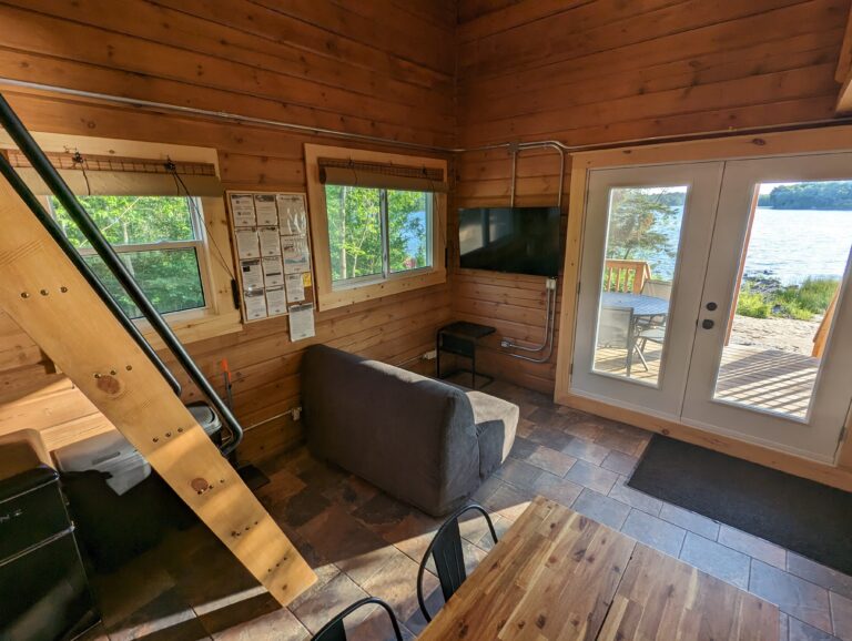 Rustic living space with wood-paneled walls, a small sofa, wall-mounted TV, and ladder to a loft. Two windows and glass doors provide views of the lake and access to a deck with outdoor seating.