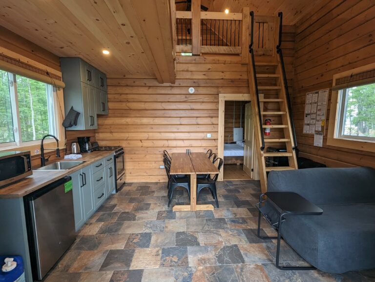 Open cabin interior with wood-paneled walls, a modern kitchen, dining area, and a cozy sofa. A wooden ladder leads to a loft, while a separate bedroom is visible on the ground floor. Stone tile flooring throughout.