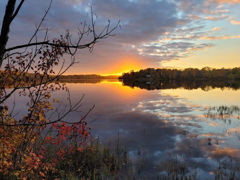 A serene lake reflects a vibrant sunset with golden and pink hues, surrounded by a tree-lined shore. Bare branches and autumn leaves frame the scene, creating a peaceful and picturesque view of nature.